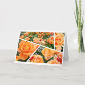Rosa Manyo [Greeting Card] Karte (Vorderseite)
