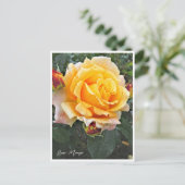 Rosa Manyo Postkarte (Stehend Vorderseite)