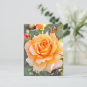 Rosa "Manyo" [Postkarte] Postkarte (Stehend Vorderseite)