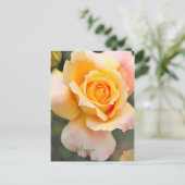 Rosa "Manyo" [Postkarte] Postkarte (Stehend Vorderseite)