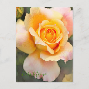 Rosa "Manyo" [Postkarte] Postkarte