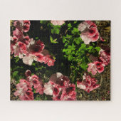 Rosa Martha Washington Geranie, San Mateo Puzzle (Horizontal)