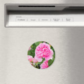 Rosa Mary Rose [Round Magnet] Magnet (In Situ (Geschirrspüler))