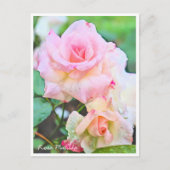 Rosa Matilda Postkarte (Vorderseite)