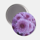 Rosa Mäuse Magnet (Vorderseite/Rückseite)