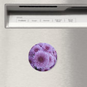 Rosa Mäuse Magnet (In Situ (Geschirrspüler))