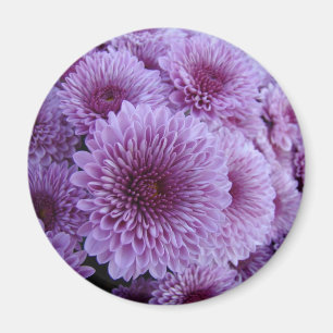Rosa Mäuse Magnet