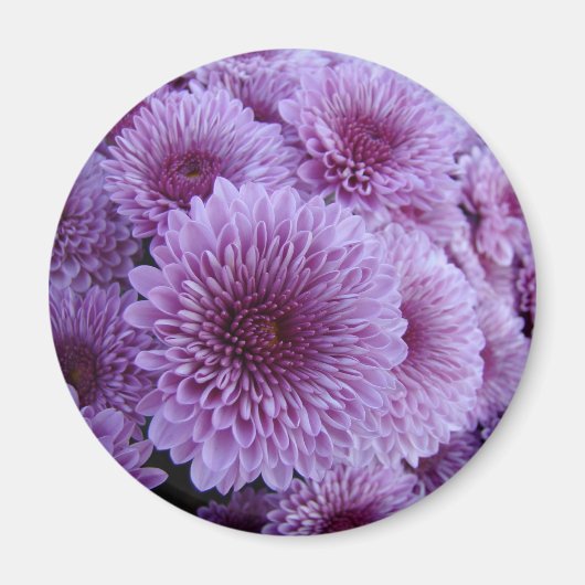 Rosa Mäuse Magnet (Vorne)