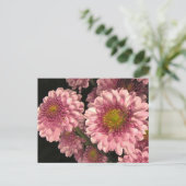 Rosa Mäuse Postkarte (Stehend Vorderseite)