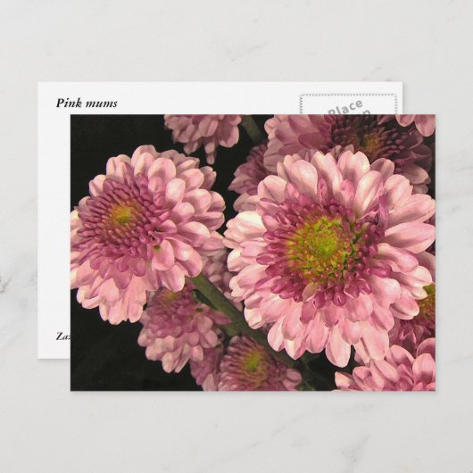 Rosa Mäuse Postkarte (Vorne/Hinten)