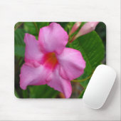 Rosa Mausunterlage Mandevilla-"Alices Du Pont" Mousepad (Mit Mouse)