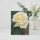 Rosa McGredy's Yellow [Postcard] Postkarte (Stehend Vorderseite)