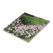 Rosa mexikanischer Abend Primrose Fliese (Seite)