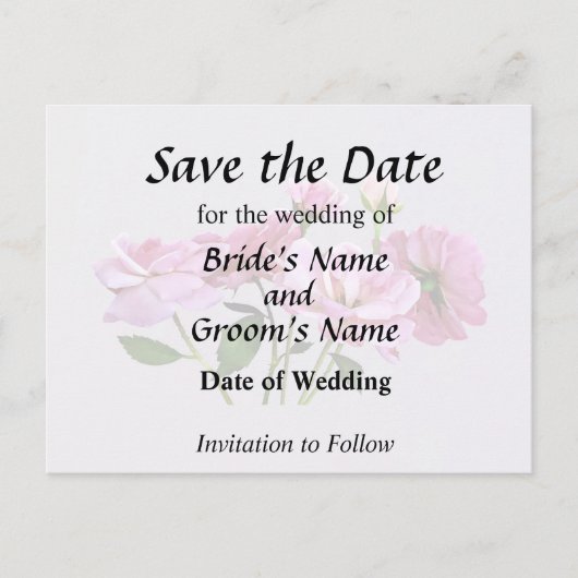 Rosa Miniatur-Rose Hochzeitsmaterial Ankündigungspostkarte (Vorderseite)