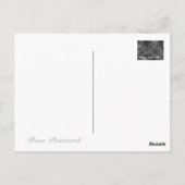 Rosa Mister Lincoln Postkarte (Rückseite)