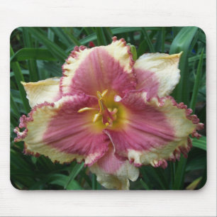 Rosa mit Augen Taglilie Mousepad