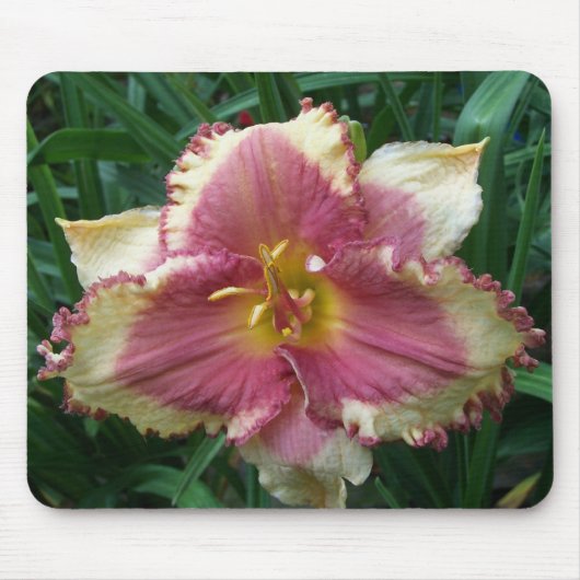 Rosa mit Augen Taglilie Mousepad (Vorne)