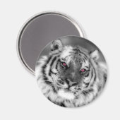 Rosa Mit Augen Tiger Magnet (Vorderseite/Rückseite)