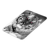 Rosa Mit Augen Tiger Magnet (Linke Seite)