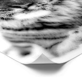 Rosa Mit Augen Tiger Poster (Ecke)