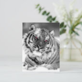 Rosa Mit Augen Tiger Postkarte (Stehend Vorderseite)