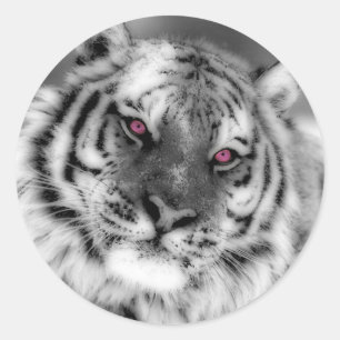 Rosa mit Augen Tiger Runder Aufkleber