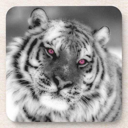 Rosa Mit Augen Tiger Untersetzer (Vorderseite)
