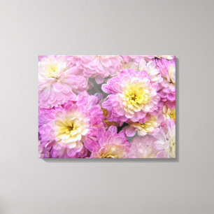 Rosa mit gelben Farbtönen Chrysanthemen Leinwanddruck