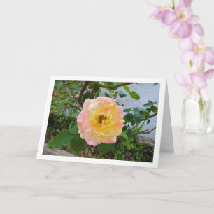 Rosa mit rosa und gelben Blüten Karte