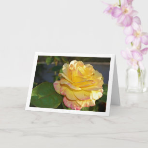 Rosa mit rosa und gelben Blüten Karte