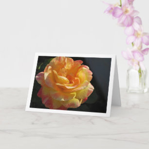 Rosa mit rosa und gelben Blüten Karte