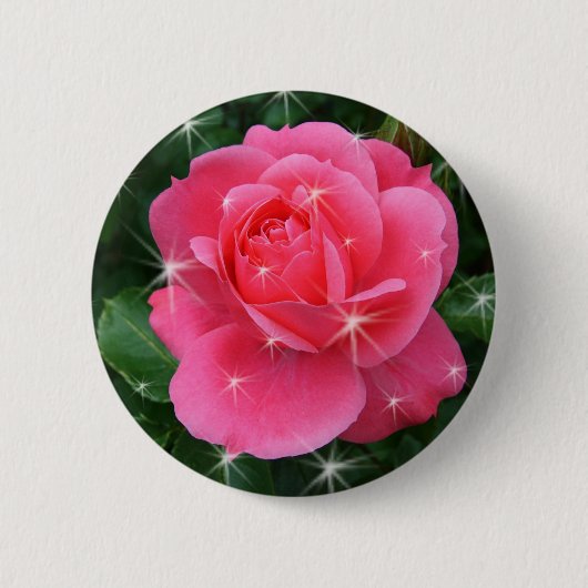 Rosa mit Sternen Button (Vorderseite)