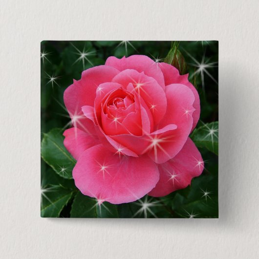 Rosa mit Sternen Button (Vorderseite)