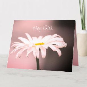 Rosa mit weißer Daisy Karte