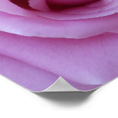 Rosa Mitte Poster (Ecke)