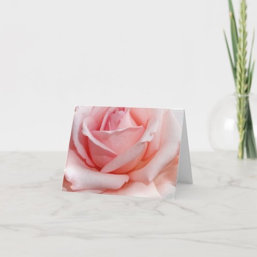 Rosa Mitteilungskarten (Vorderseite)