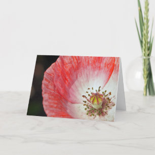 Rosa Mohnblumen-Geburtstag Karte