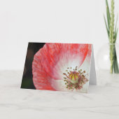Rosa Mohnblumen-Geburtstag Karte (Vorderseite)