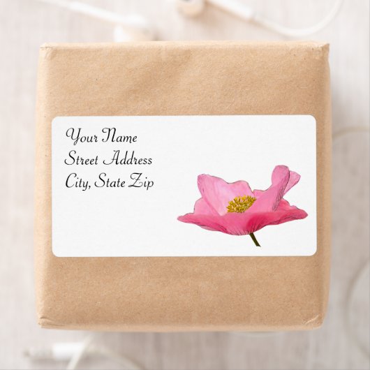 Rosa Mohnecke (Insitu)