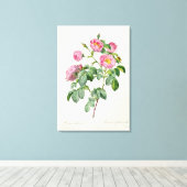 Rosa Mollissima von "Les Rose" Leinwanddruck (Insitu (Holzboden))