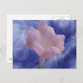 Rosa-Mond-Blume Postkarte (Vorne/Hinten)