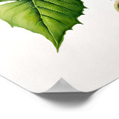 Rosa Morning Gloriage Blume Art Print Poster (Ecke)