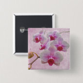 Rosa Moth Orchids - Phalaenopsis Button (Vorne & Hinten)