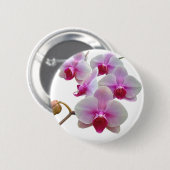 Rosa Moth Orchids - Phalaenopsis Button (Vorne & Hinten)