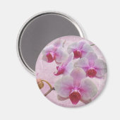 Rosa Moth Orchids - Phalaenopsis Magnet (Vorderseite/Rückseite)