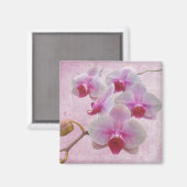 Rosa Moth Orchids - Phalaenopsis Magnet (Vorderseite/Rückseite)