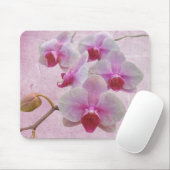Rosa Moth Orchids - Phalaenopsis Mousepad (Mit Mouse)