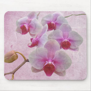 Rosa Moth Orchids - Phalaenopsis Mousepad