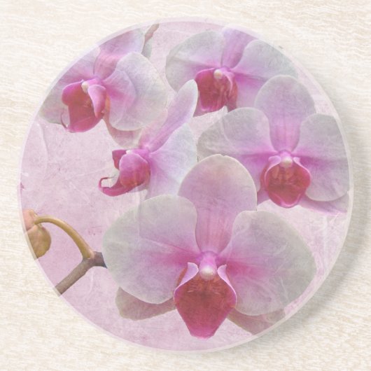 Rosa Moth Orchids - Phalaenopsis Sandstein Untersetzer (Vorne)