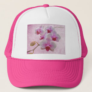 Rosa Moth Orchids - Phalaenopsis Truckerkappe